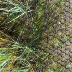 Entsiegelung von Flächen mit wasserdurchlässiger Wegebefestigung