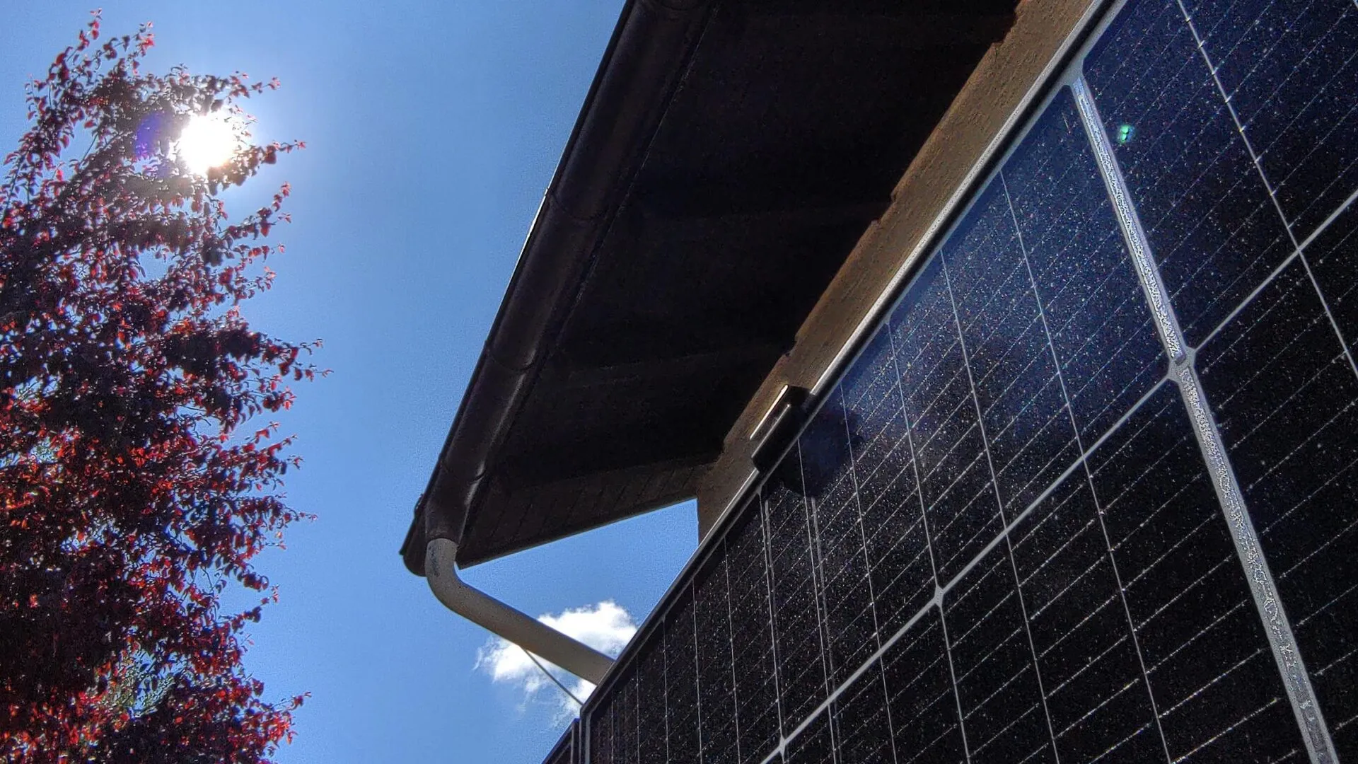 Balkonkraftwerk, PV-Module