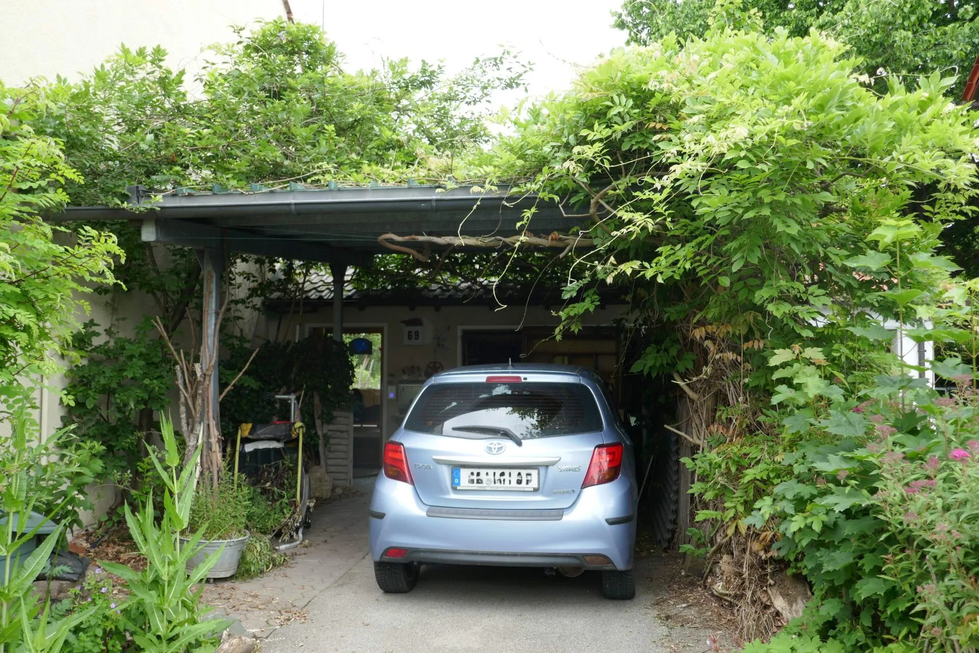 Pflanzen drunter und drüber