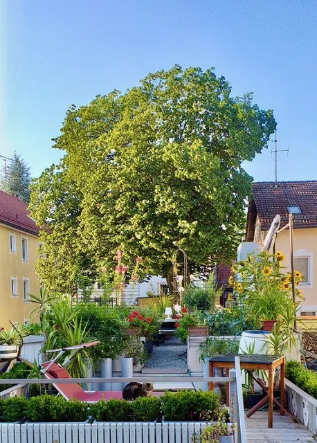 Gemüsegarten auf einem Garagendach