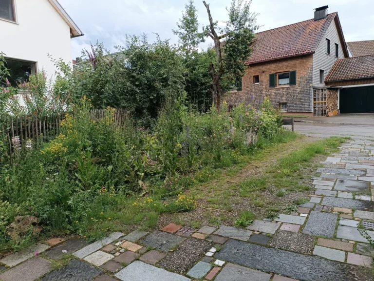 Entsiegelte Einfahrt mit Wildblumen