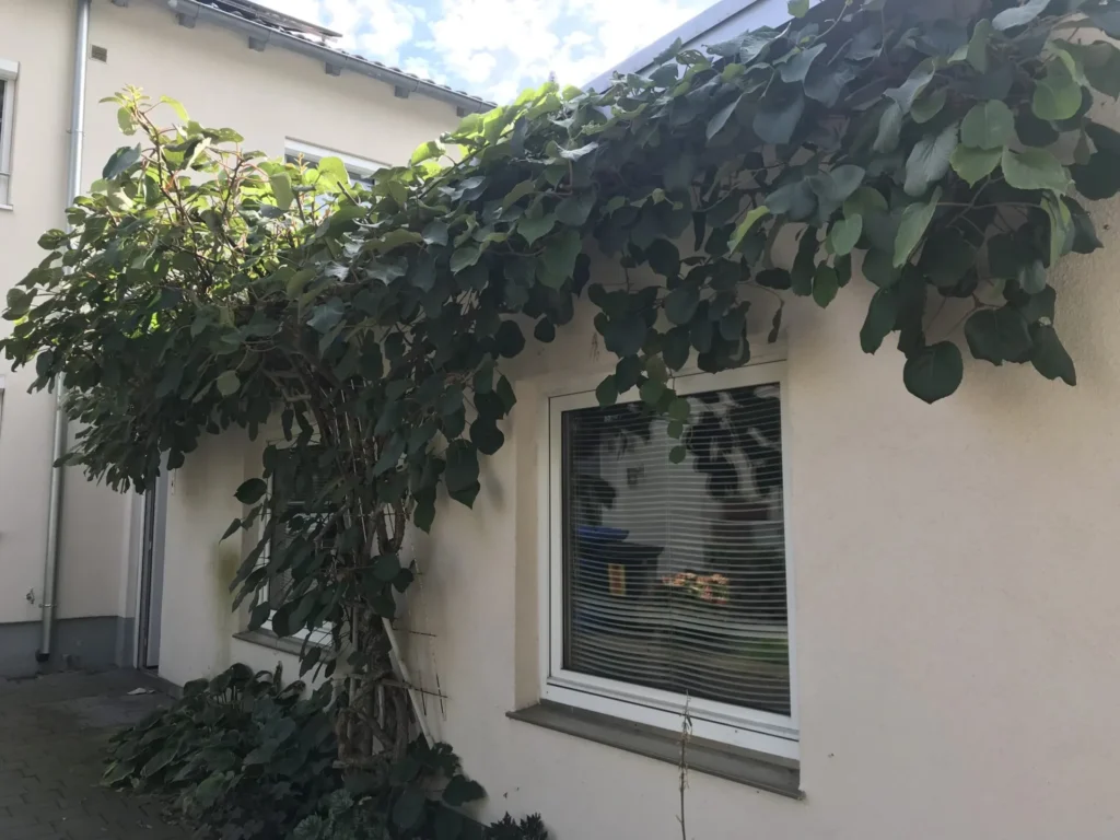 Begrünte Garagenfassade