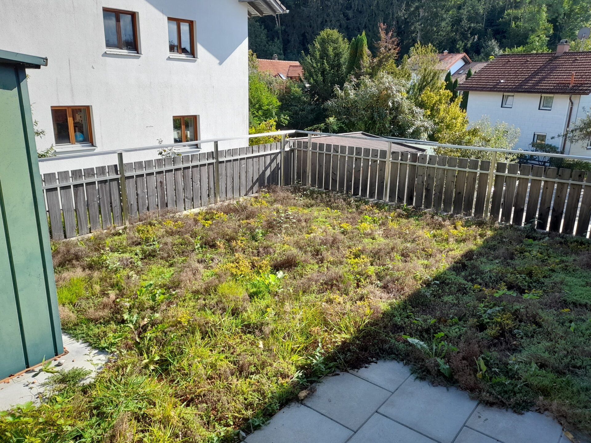 Sedummatten für extensive Dachbegrünung auf Carport