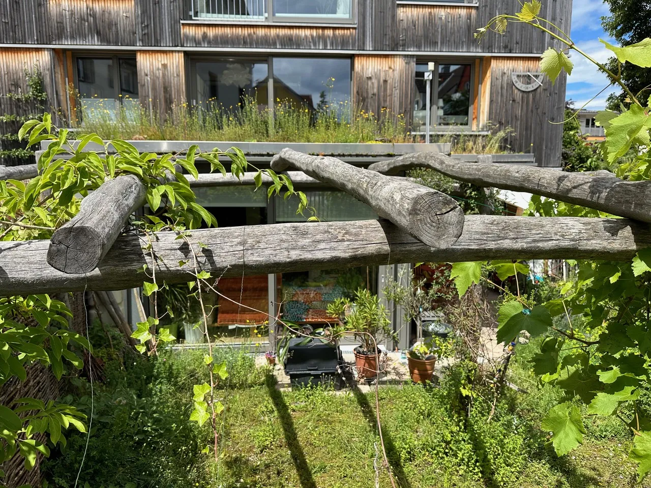 Grün auf allen Ebenen