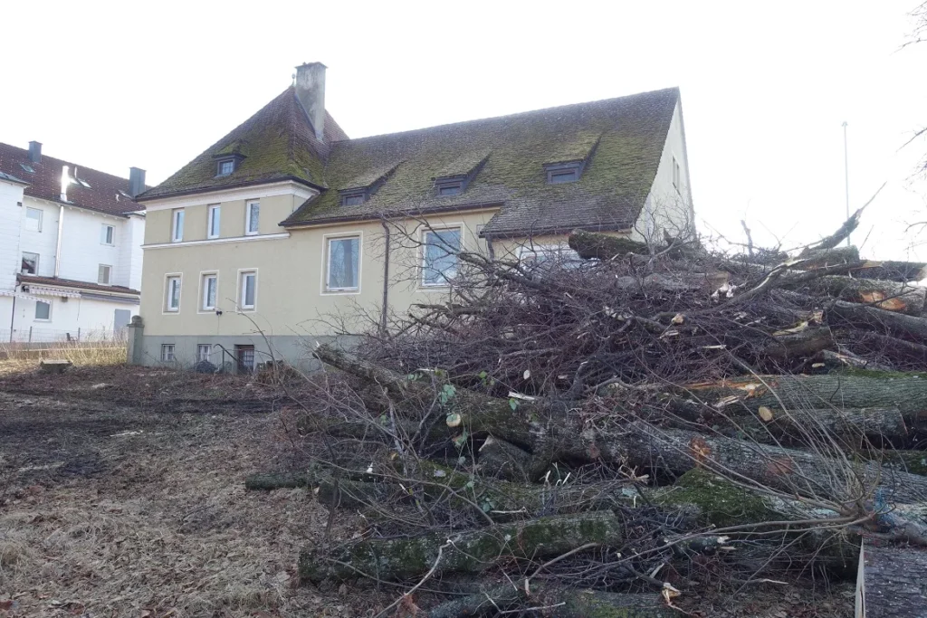 Gefällte Bäume, Asthaufen