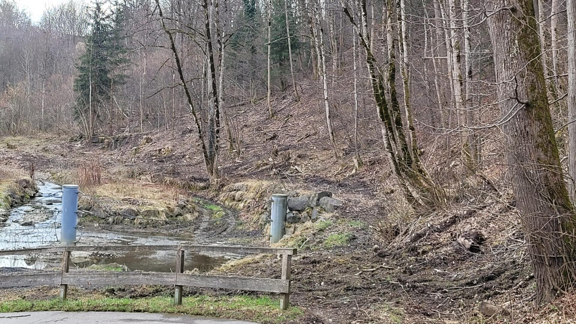Gefällte Bäume im Engelhaldepark Kempten